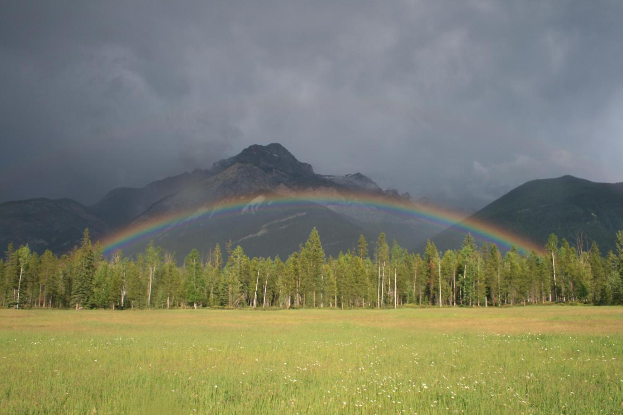 Rocky Mountain Cabins And Home Golden Bagian luar foto